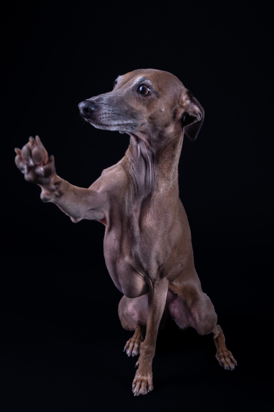 Photographie 9 de la galerie de Jade Vandermeulen
