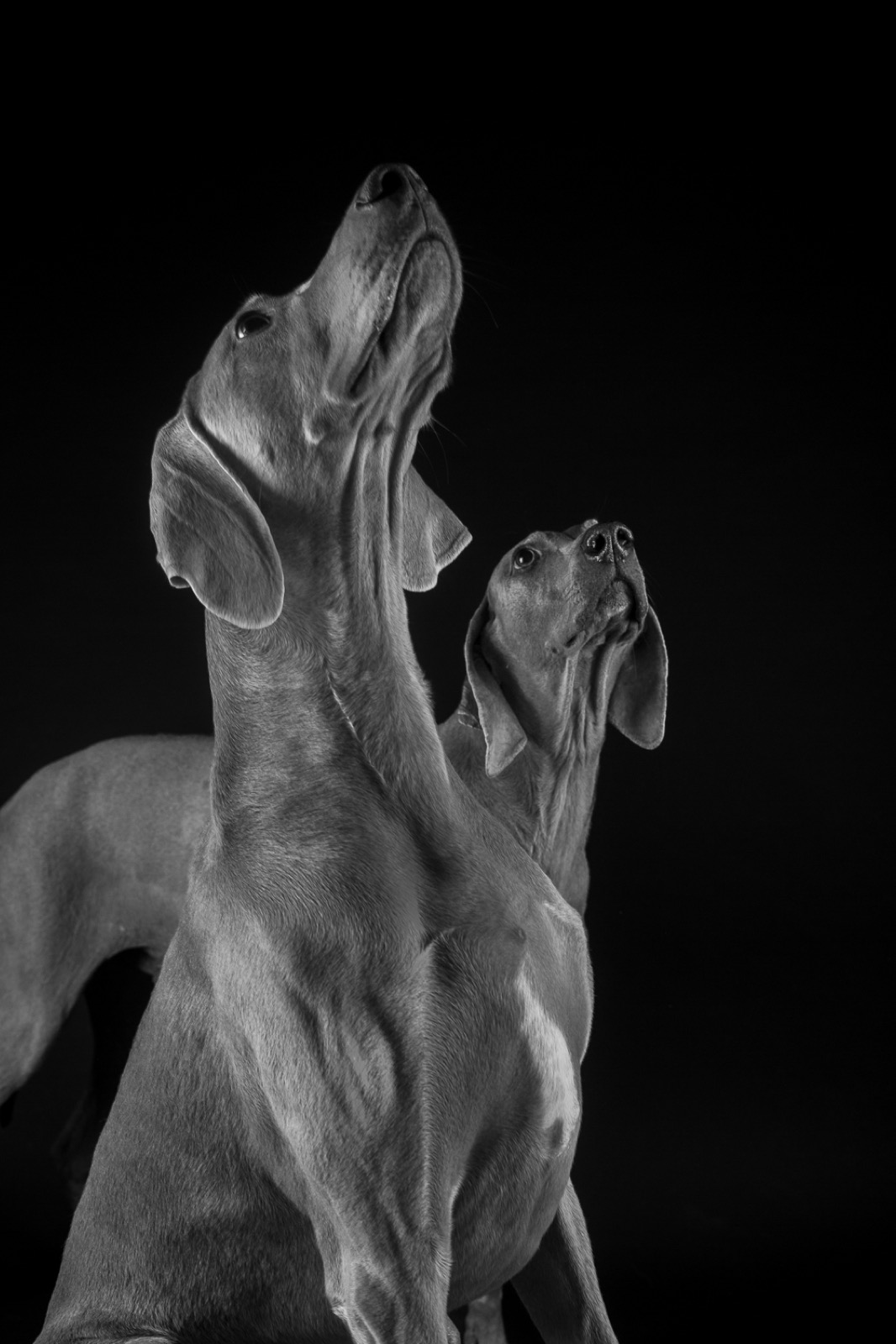 Photographie 8 de la galerie de Jade Vandermeulen